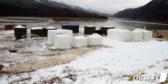 8일 오전 인제군 빙어축제장 일원에 전날부터 내린 비로 제설기로 만든 인공 눈이 녹고 있다. /사진=뉴스1
