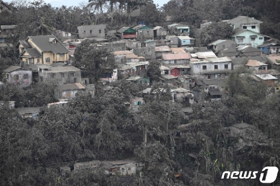 14일(현지시간) 필리핀 타가이타이의 주택과 나무들이 탈 화산의 폭발로 화산재로 뒤덮인 모습이 보인다. © AFP=뉴스1 © News1 우동명 기자