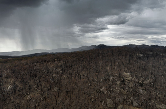 비 내리기 시작하는 호주 산불 지역//사진제공=BBC 날씨 트위터 캡쳐 