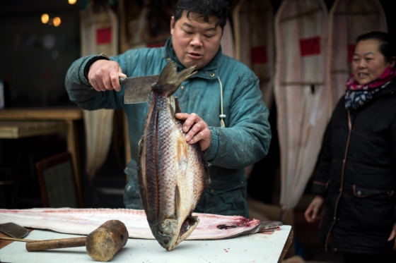 중국 한 전통시장의 생선가게. /사진=AFP