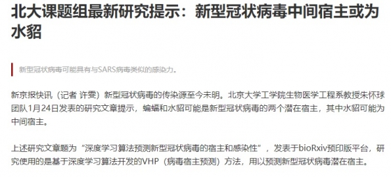 신종 코로나바이러스(우한 폐렴)를 밍크가 인간에게 옮기는 '중간 숙주'역할을 했을 가능성이 크다는 중국 매체 보도. /사진 = 베이징뉴스