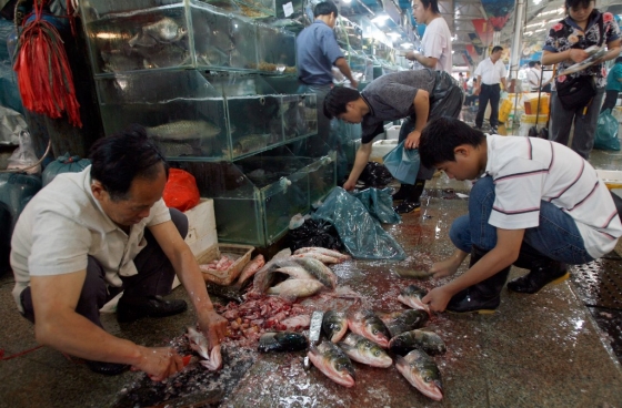 맨바닥에서 생선을 손질하는 중국 시장 모습. /AFPBBNews=뉴스1