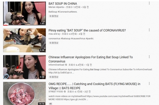 유튜브에서 '박쥐탕(Bat Soup)'로 검색하면 나오는 영상들. /사진=유튜브 캡처.