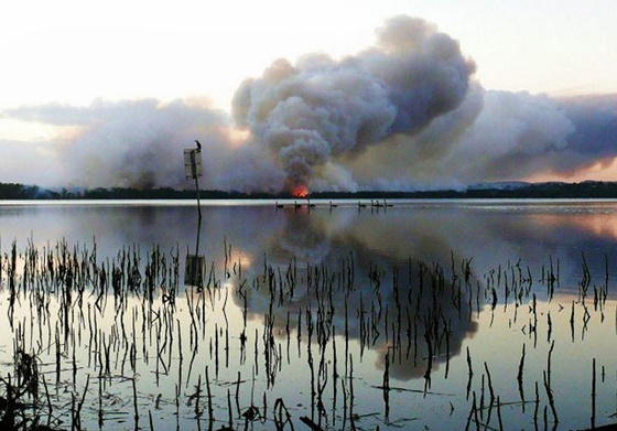 호주 산불 /사진=AFP