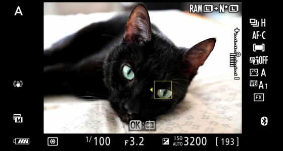 새 펌웨어에 추가된 동물 얼굴·눈동자 자동 초점 예시 화면 /사진=니콘