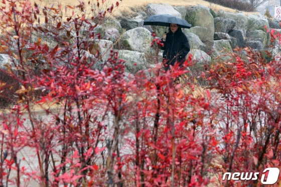 수도권 지역에 비가 내린 12일 오후 서울 강서구 서울식물원에서  우산을 쓴 시민이 산책을 하고 있다./ 사진 = 뉴스 1