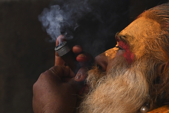 마리화나를 피는 사람. 사진은 기사 내용과는 무관. /사진=AFP