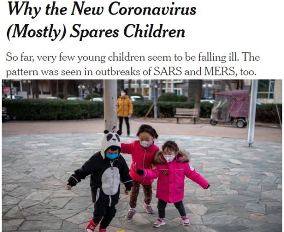 왜 코로나바이러스가 어린이 확진자가 없는지에 대한 외신 보도. /사진 = 뉴욕타임스