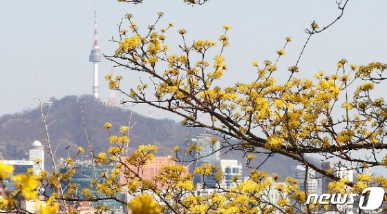 [사진] 서울의 봄