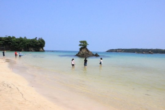 쓰시마 섬