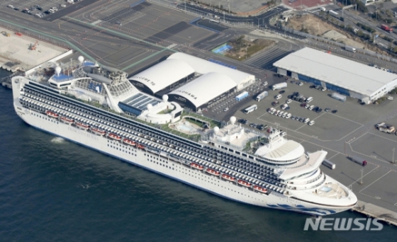 일본 요코하마항에 지난달 12일 대형 유람선(크루즈) '다이아몬드 프린세스'호가 정박해 있다/사진=뉴시스
