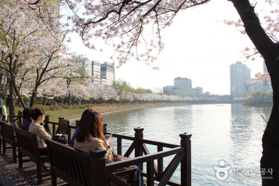 석촌호수 벚꽃축제 / 사진제공=한국관광공사
