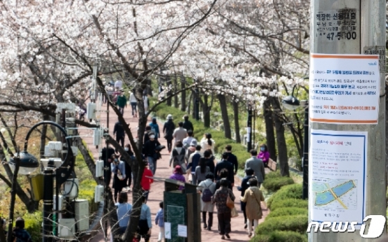 [사진] 석촌호수 벚꽃축제·산책로 폐쇄 '코로나19 때문에'