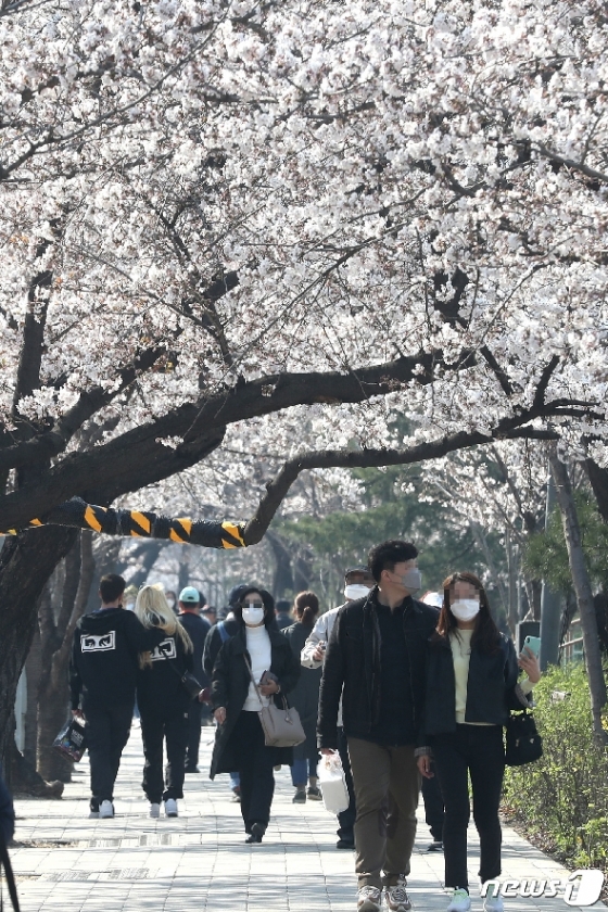 [사진] '벚꽃 나들이 나선 시민들'