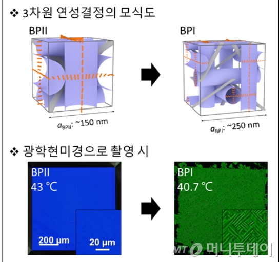 블루페이즈의 두 상인 BPII(왼쪽)과 BPI(오른쪽)의 결정구조 모식도. 온도를 조절하면 파란색 BPII에서 초록색 BPI으로 순간적으로 변화시킬 수 있다. 하지만 광학 현미경으로는 상전이 과정 중 내부결정구조의 변화를 알아낼 수 없으며 특히 상전이 과정에서 관찰되는 초록색 BPI의 격자무늬가 생기는 이유는 미스테리로 남아 있었다./자료제공=한국원자력연구원