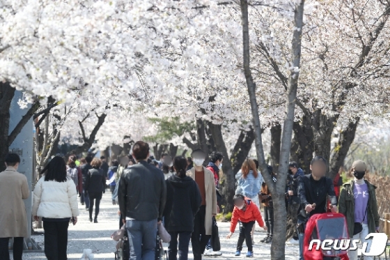 정부가 '강화된 사회적 거리두기'를 오는 19일까지 연장한 가운데 5일 오후 서울 여의도한강공원에서 마스크를 착용한 시민들이 벚꽃 사이로 산책을 하고 있다. 2020.4.5/뉴스1 © News1 성동훈 기자