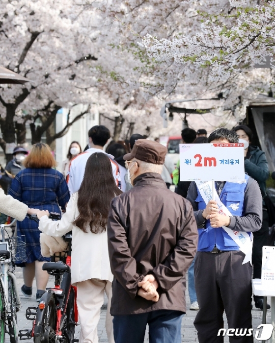 [사진] 2m 거리두기 캠페인 무색한 여의도 벚꽃길