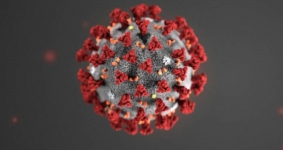 코로나19 바이러스/사진=미국 질병통제예방센터(CDC)