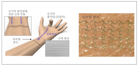 딥러닝된 피부형 센서 구성은 나노 입자를 레이저로 소결하여 크랙형상을 만들어 고민감 센서를 제작함. 손가락의 움직임을 마치 지진파 계측과 같이 손목에서 멀리 계측을 하여 딥러닝을 통해 신호에서 손가락 움직임을 추출함/사진=KAIST