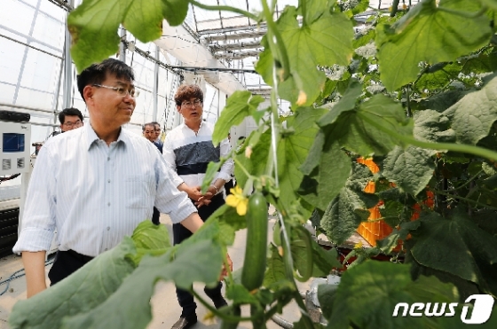 [사진] 스마트팜 오이재배 농가 방문한 김경규 청장