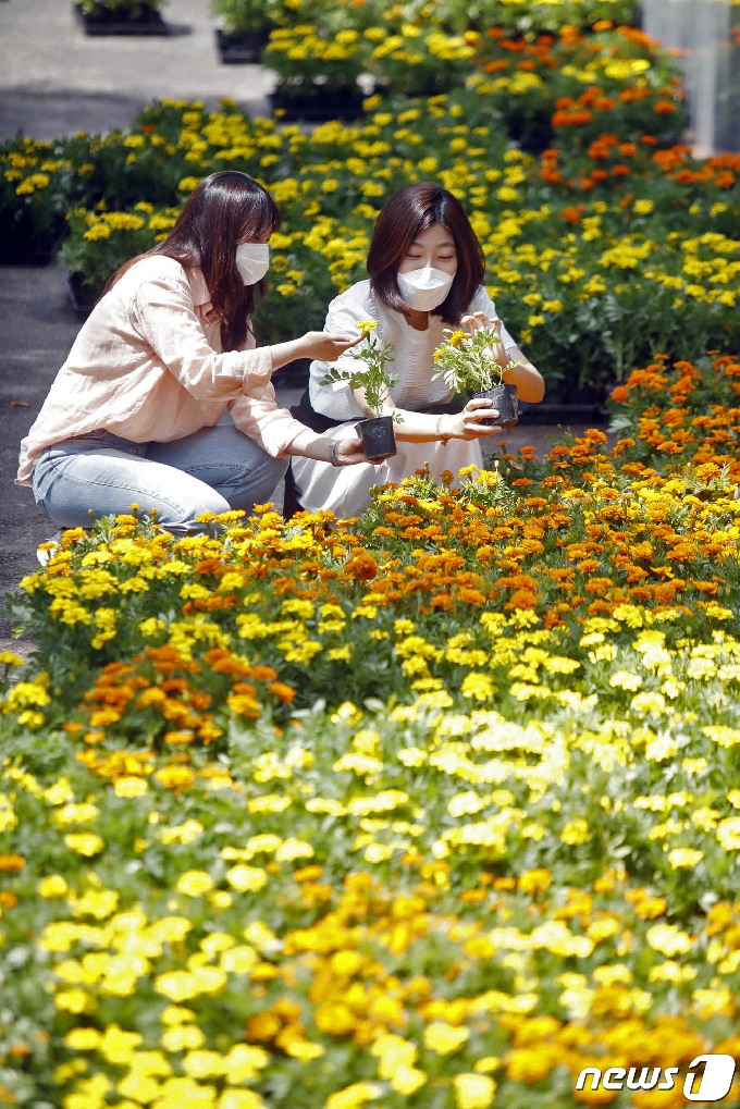[사진] 각 동에 보낼 여름꽃