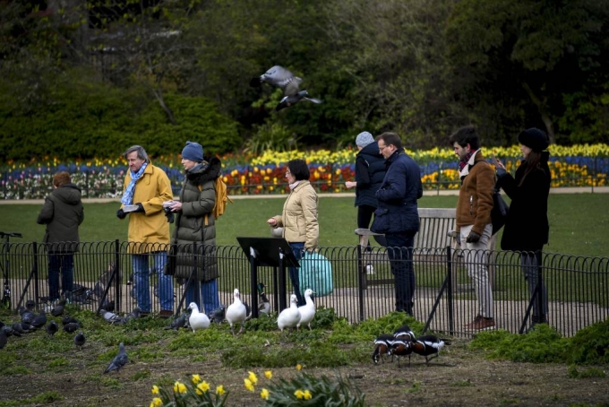 신종 코로나바이러스 감염증(코로나19) 확산 예방으로 사회적 거리 두기가 강조되는 가운데 런던의 세인트 제임스 공원에서 시민들이 새 먹이를 주고 있다. /사진=[런던=AP/뉴시스]
