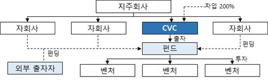 CVC 자금조달 및 투자 구조/사진=공정거래위원회