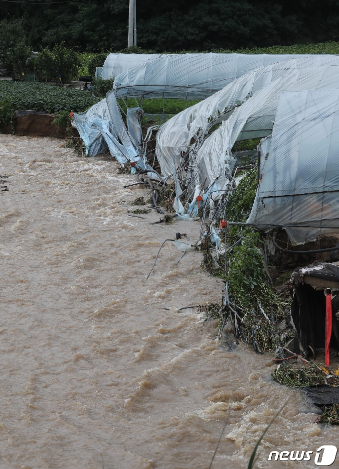 [사진] 불어난 빗물에 무너진 비닐하우스