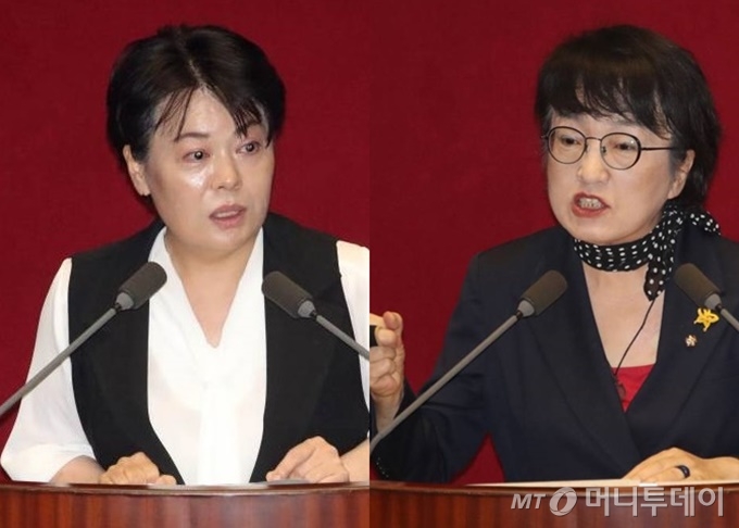 윤희숙 미래통합당 의원(왼쪽), 김진애 열린민주당 의원 /사진=뉴시스