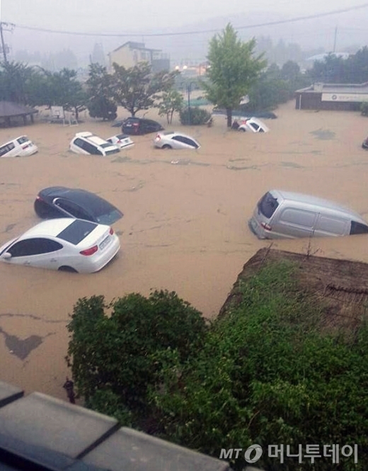 25일 부산에 내린 폭우로 부산 기장군 장안읍 일대가 침수돼 자동차들이 흙탕물에 완전히 잠겨 있다. (트위터) 2014.8.25/뉴스1 / 사진=뉴스1