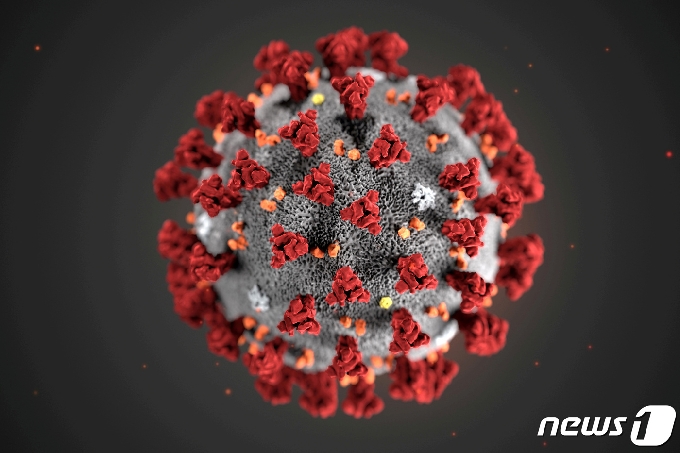 신종 코로나바이러스 감염증(코로나19) 병원균 모형도. © 로이터=뉴스1