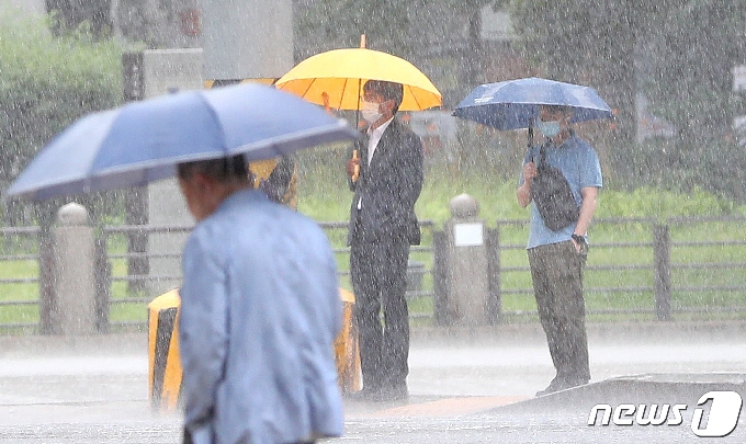 거리에서 우산 쓴 시민들이 신호대기를 하고 있다. 2020.7.29/뉴스1 © News1 박지혜 기자