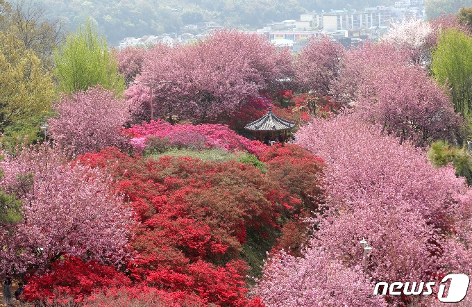 전북 전주 완산도서관 위에 있는 꽃동산. /뉴스1