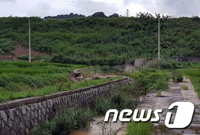 광주 북구 장등동 한 저수지 인근 하천 제방 일부가 무너진 모습.(광주북구 제공) ⓒ 뉴스1