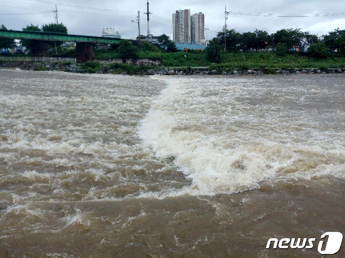 폭우로 물이 불어난 강원 원주 원주천(자료 사진) © News1 박하림 기자