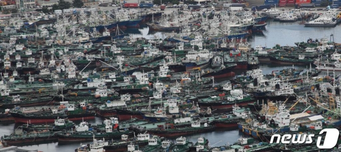 제9호 태풍 마이삭(MAYSAK)이 북상 중인 1일 부산 동구 5부두에 선박들이 피항해 있다. /사진=뉴스1