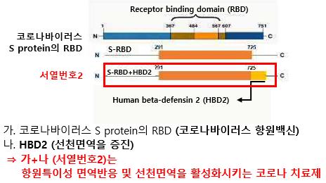 아이큐어가 개발 중인 코로나 치료제 'RBD-HBD2' 구성도/사진제공=아이큐어