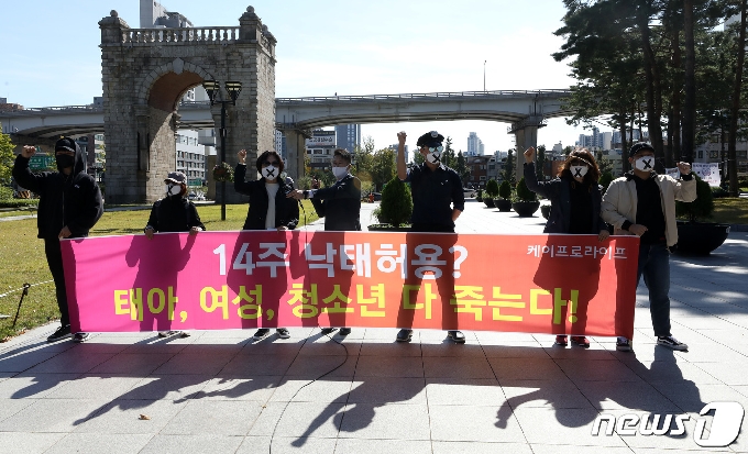 [사진] 독립문 앞 '4.15 총선 부정선거-낙태반대 기자회견'