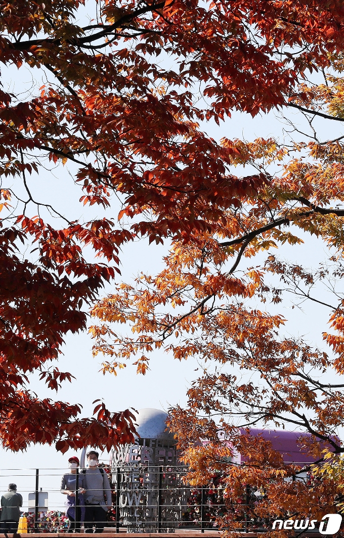 [사진] 남산의 가을