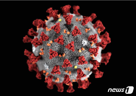 미국 질병통제예방센터(CDC)가 제작한 2019 신종 코로나바이러스 모형도. ©로이터=뉴스1