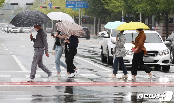 대전 서구 대전시청 인근 도로에서 시민들이 우산을 쓰고 이동하고 있다. 뉴스1 © News1 김기태 기자