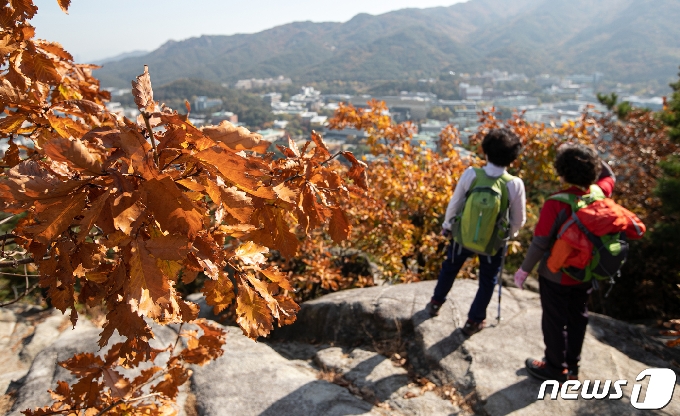 [사진] 가을 단풍철 산에 올라