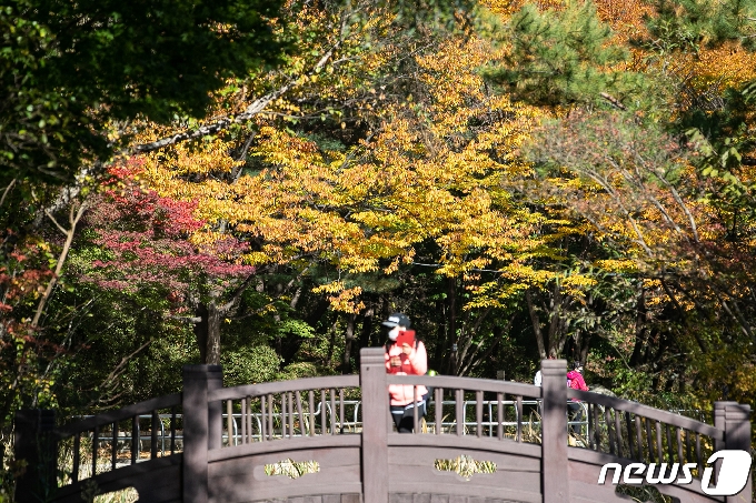 [사진] 가을 찾아온 관악산