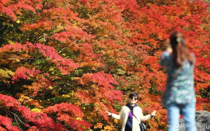 [제주=뉴시스]우장호 기자 = 맑은 날씨를 보인 27일 오후 제주 한라산 천아계곡을 찾은 관광객들이 붉게 물든 단풍을 감상하며 깊어가는 가을 계절을 만끽하고 있다. 2020.10.27.   woo1223@newsis.com