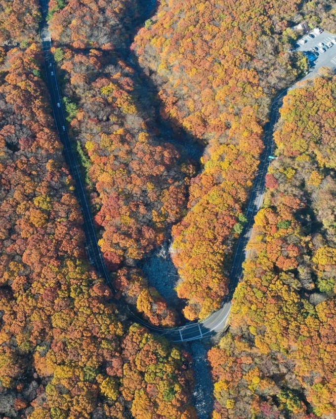 가을빛으로 물든 한라산. /사진=뉴시스