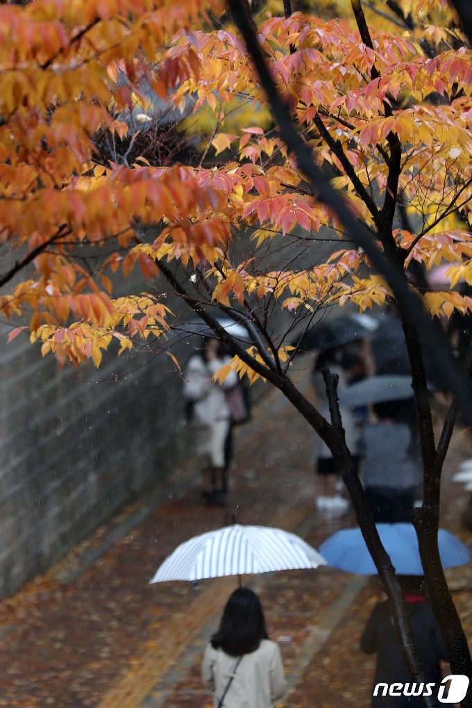 [사진] 가을비 내리는 덕수궁 돌담길