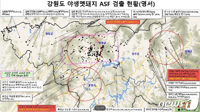 강원 ASF 감염 멧돼지 검출 현황.(강원도 제공)© 뉴스1