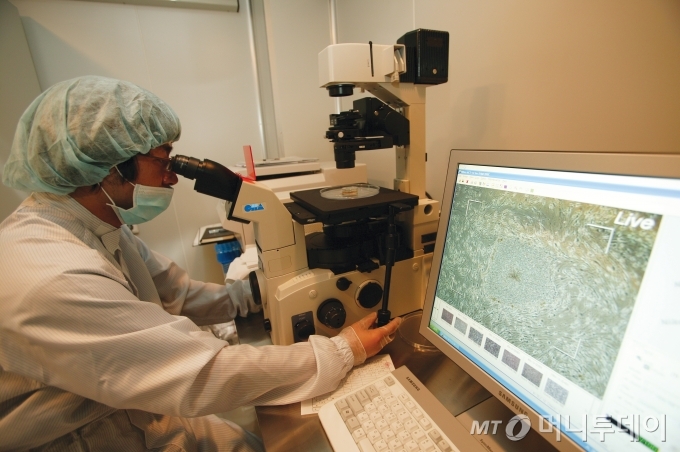 차바이오텍 연구원이 현미경으로 줄기세포의 상태를 살펴보고 있다. / 사진제공=차바이오텍