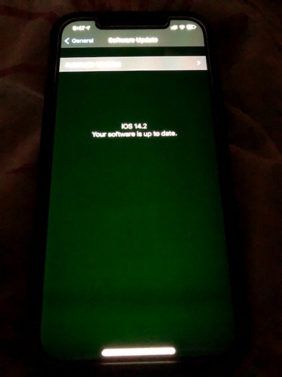 아이폰12에서 화면이 녹색 빛을 띠는 '녹조' 현상이 나타난 모습 /사진=맥루머스