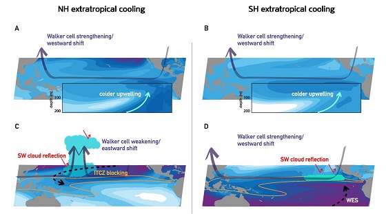 극지 냉각효과가 열대지역에 미치는 영향 시뮬레이션: (A) (북극 냉각효과, 해양 고려) 북반구 고위도 냉각효과가 열대 동태평양 바닷물의 용승(colder upwelling)을 통해 동서간 해수면 온도차를 늘리고 워커순환(열대 태평양 무역풍)이 강해짐. (B) (남극 냉각효과, 해양 고려) 마찬가지로 워커순환이 강해짐 (C) (북반구 냉각효과, 해양 제외) 열대수렴대(6.5 mm/day의 강우량을 보이는 지역, 노란색선)로 인해 서태평양에 제한적으로 영향을 줌. 또한 구름에 의한 햇빛 반사로 서태평양 온도가 내려감에 따라 동서간 해수면 온도차가 더 줄고 워커순환이 약화됨. (D) (남반구 냉각효과, 해양제외) 남반구 고위도 냉각효과는 열대수렴대를 피해 열대 동태평양으로 전파됨에 따라 동서간 해수면 온도 편차가 증가하고, 워커순환이 강해짐.